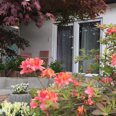 Haus Magnolia 2 Leilighet Kandern Eksteriør bilde